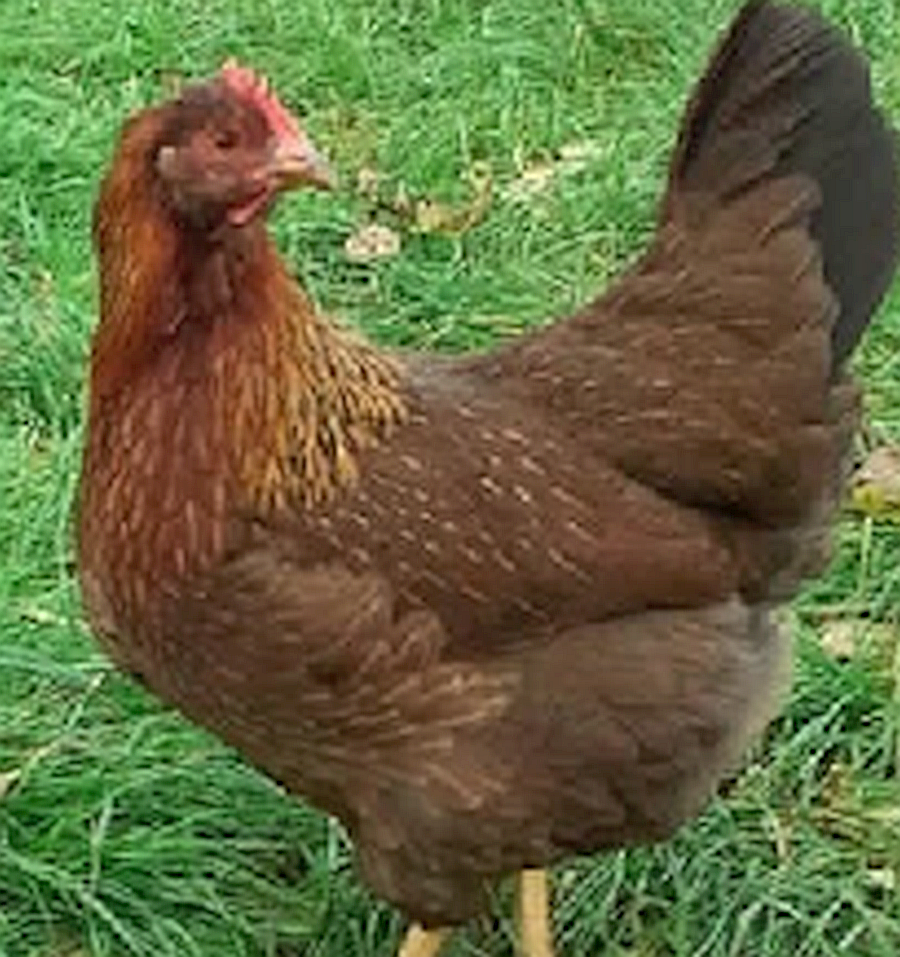 Picture of State Bar of Texas | Home