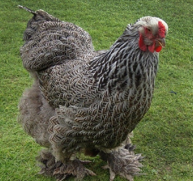 Tx Layer - Superhive (formerly Blender Market)